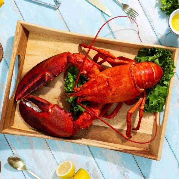 6-lb-8-lb-Live-Canadian-Lobster-595x595-1-1.jpg